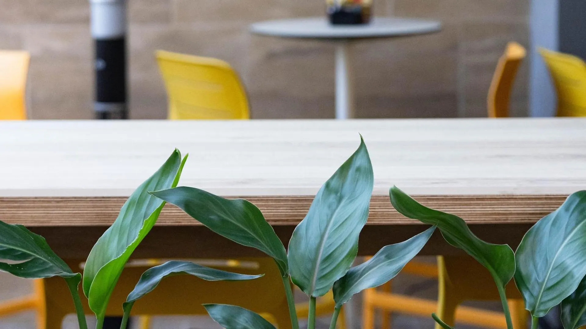 Isabella Suites Gzira